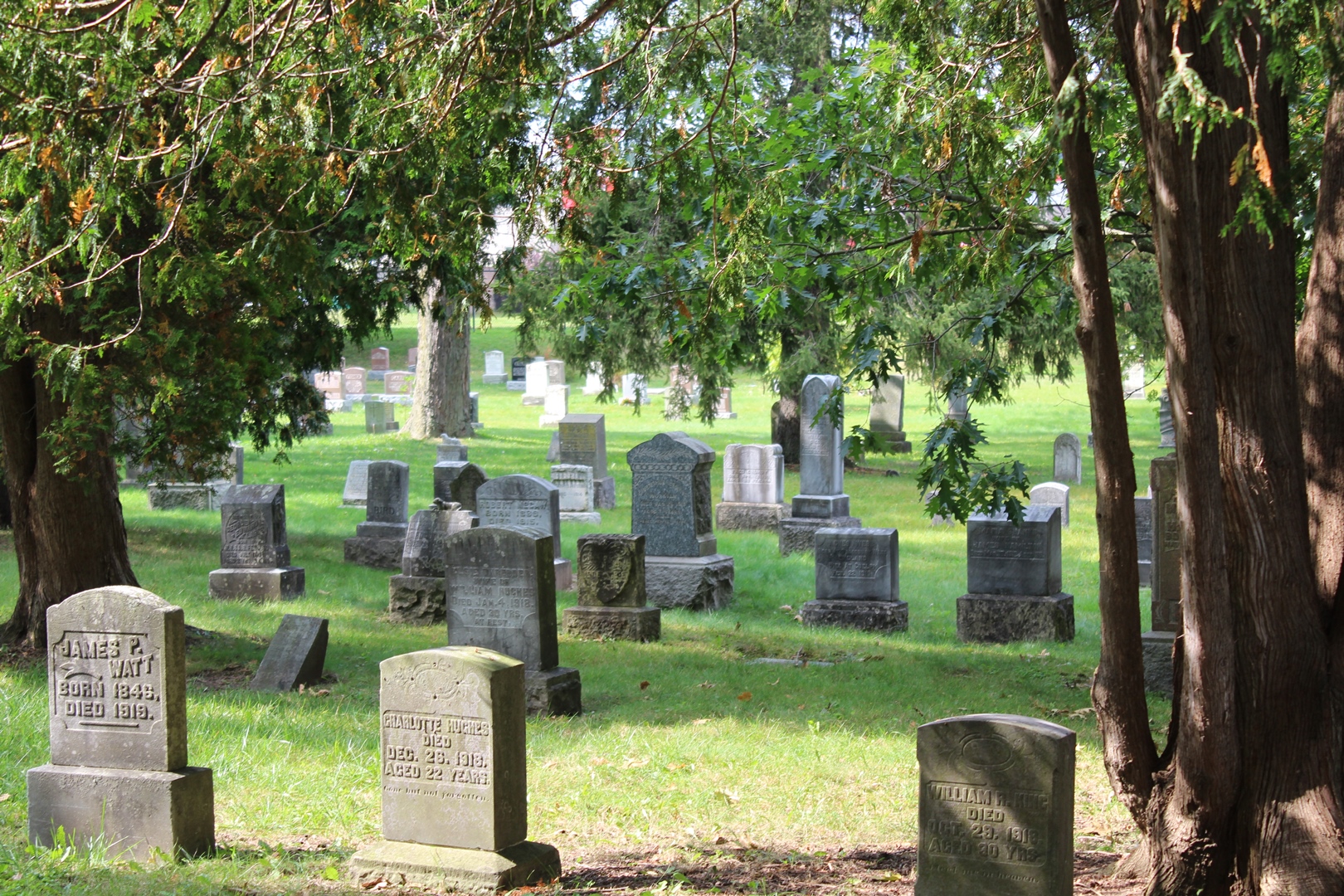 Photo of Woodlawn Memorial Cemetery. Rows of head stones amidst the grass and tall trees..