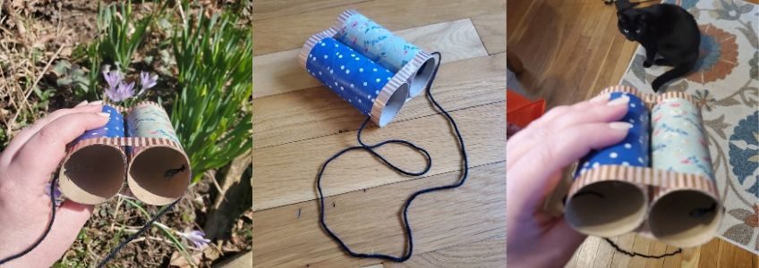 Photo-collage showing cardboard binocular crafts