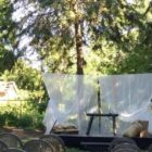 Photo of the McCrae House backyard set up with a stage from the production of Mary's Wedding, 2018.