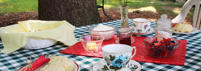 Photo of a tea set up in the backyard of McCrae House. The table is set for two, with two vintage tea cups, a bowl of fruit, and scones.