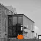 Black and white photo of the exterior of the Civic Museum. A large full moon has been photoshopped in the top right corner. A group of bats are flying over the moon. There are two small orange pumpkins sitting on the wall in front of the museum.