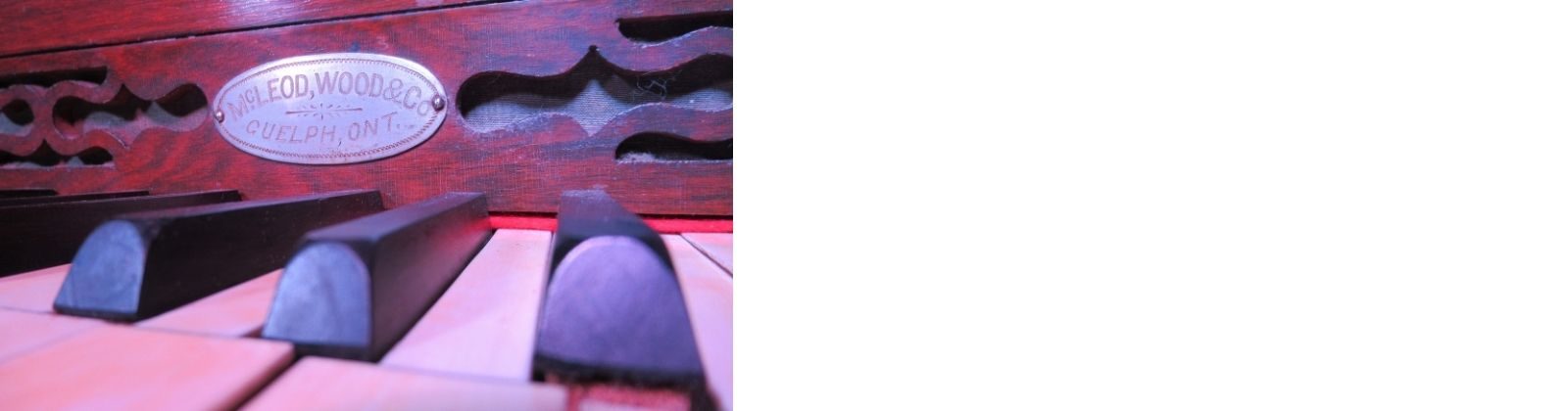 Close-up view of keys on an organ