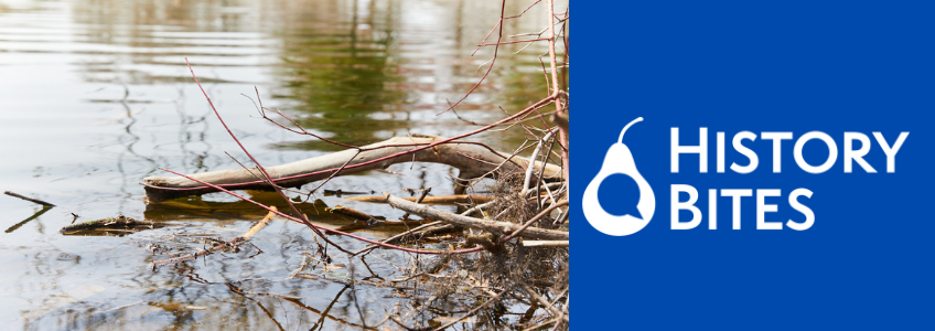 History Bites: Where the Rivers Meet Banner. An image of the river with branches is on the left, and a blue background on the right with Guelph Museums' History Bites logo.